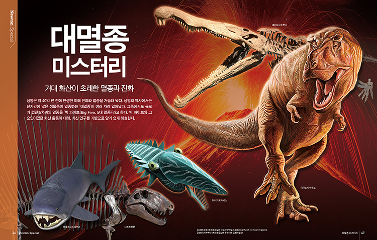 뉴턴코리아북스